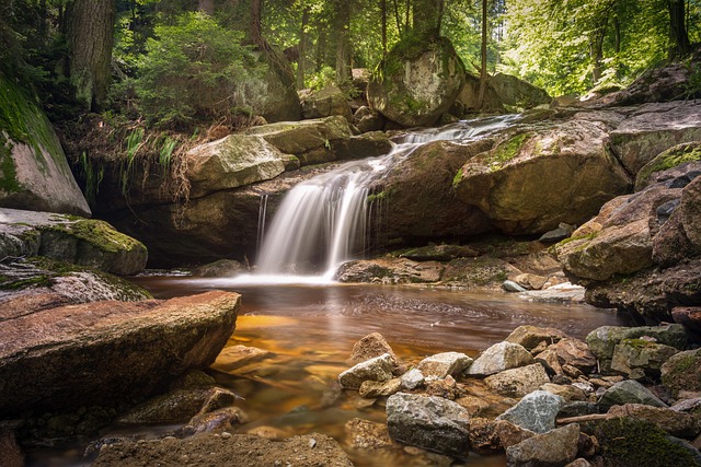 nature