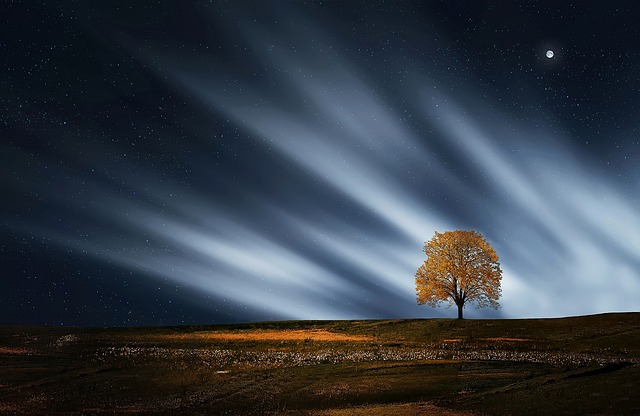 nature