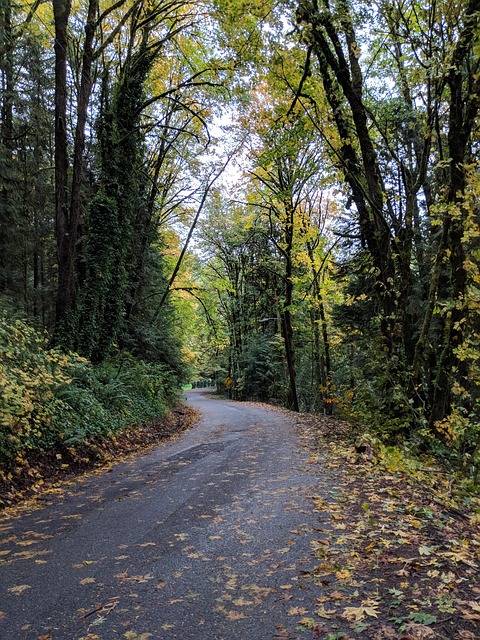 Oregon