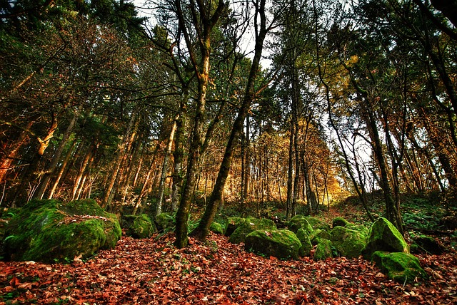 Oregon