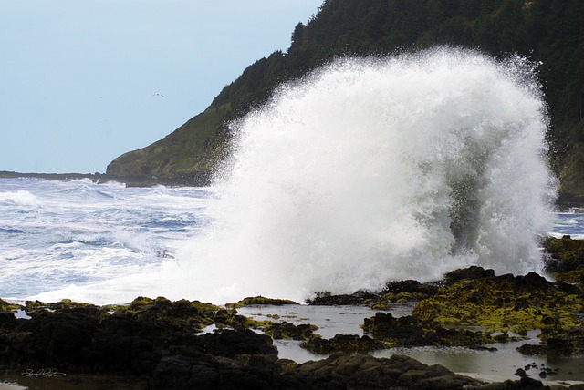 Oregon