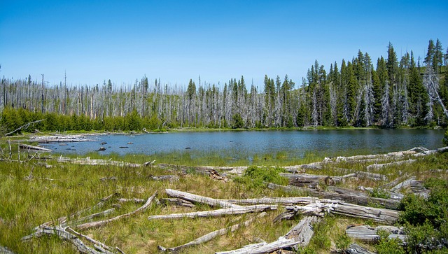 Oregon