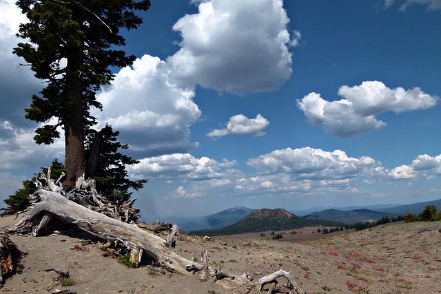Oregon