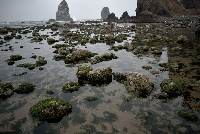 Oregon