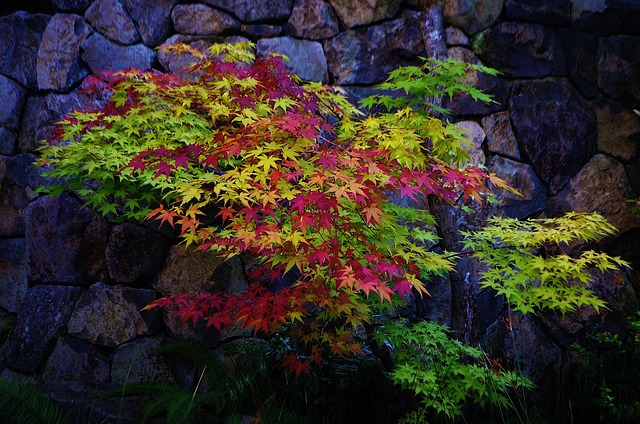 Oregon