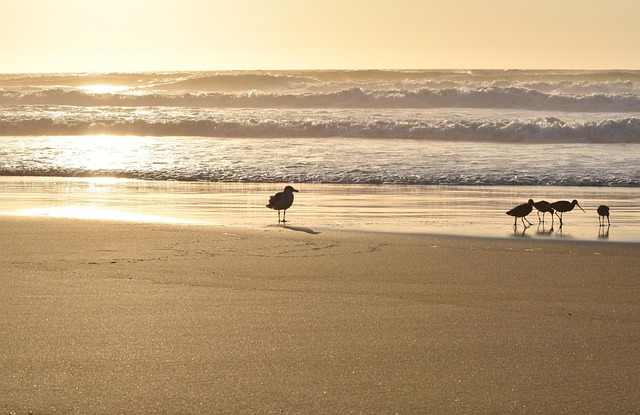 Oregon
