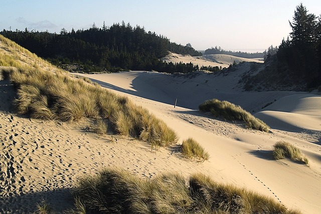 Oregon