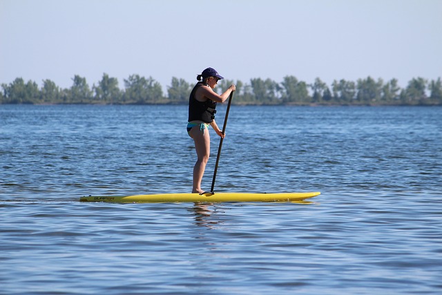 paddle