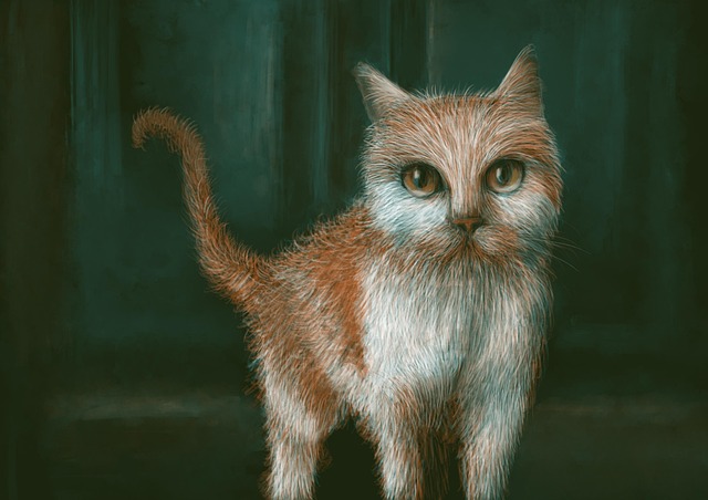 paintings
