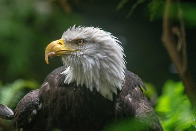 Parental Rights in Oregon: Navigating Child Welfare with Legal Protection & Advocacy