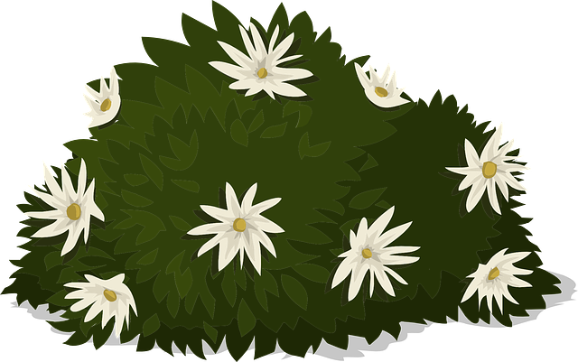 Parks, Gardens, Nature, Flowers, Trees, Greenery