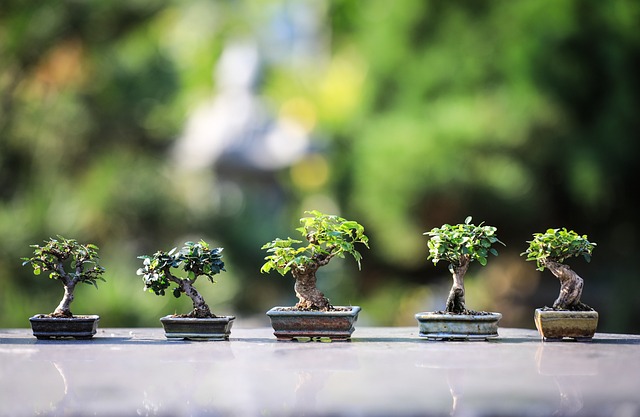 Parks, Gardens, Nature, Flowers, Trees, Greenery