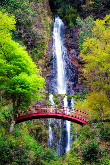 Parks, Gardens, Nature, Flowers, Trees, Greenery