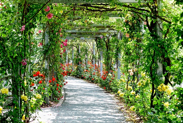 Parks, Gardens, Nature, Flowers, Trees, Greenery