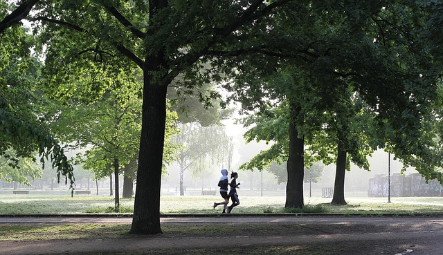 parks-gardens-nature-flowers-trees-green-640x480-77843116.jpeg