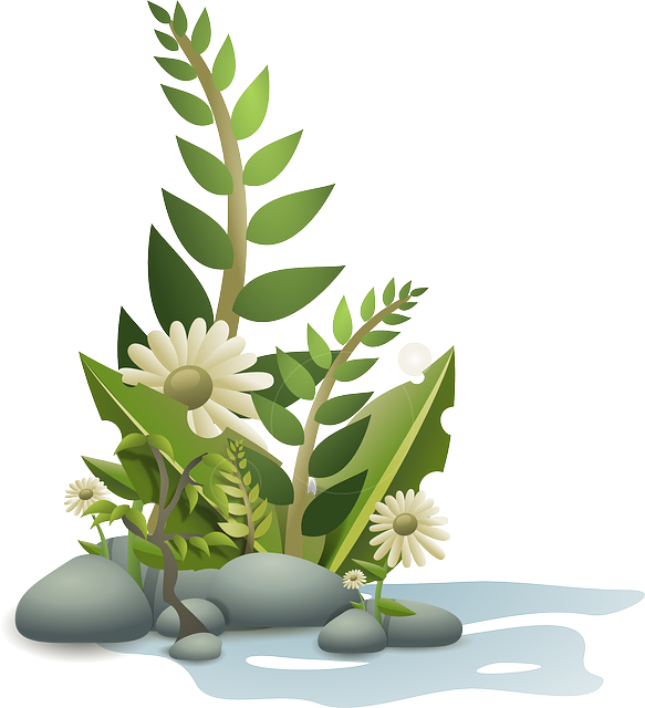 Parks, Gardens, Nature, Flowers, Trees, Greenery
