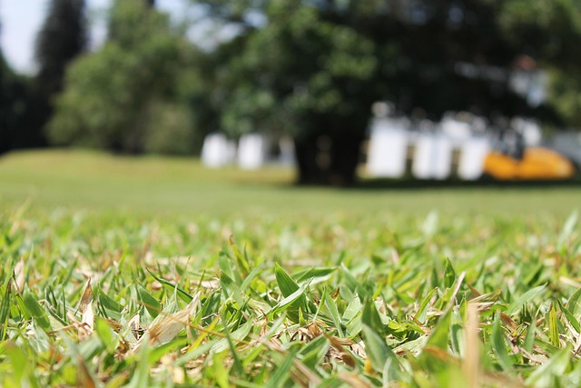Parks, Gardens, Nature, Flowers, Trees, Greenery