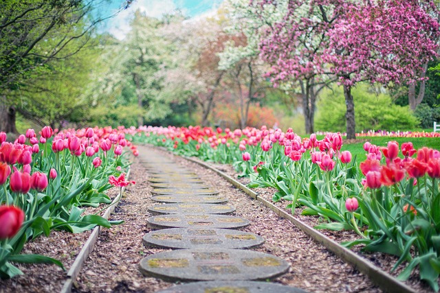 parks-gardens-nature-trails-flowers-picn-640x480-18822943.jpeg