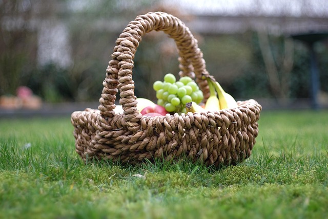 parks, gardens, nature, trails, flowers, picnic