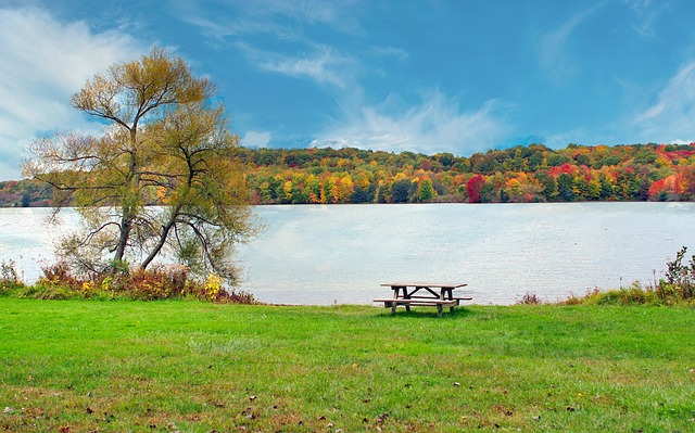 parks, gardens, nature, trails, flowers, picnic