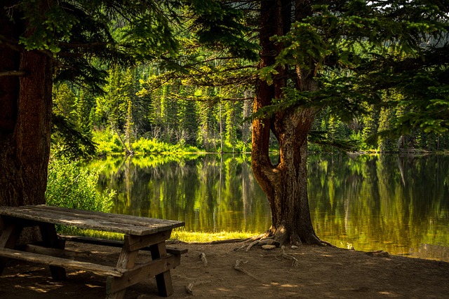 parks, gardens, nature, trails, flowers, picnic