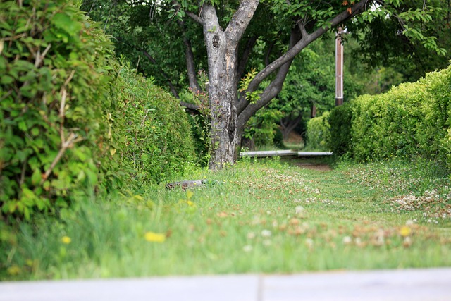 parks, gardens, nature, trails, flowers, picnic