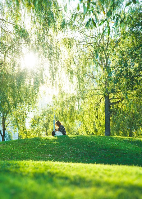 parks, gardens, nature, trails, flowers, picnic