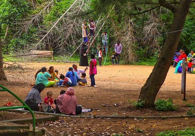 parks, gardens, nature, trails, flowers, picnic
