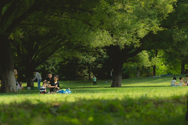 parks, nature, family, trails, picnic, playground