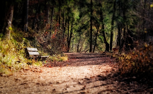 parks-nature-family-trails-picnic-playgr-640x480-7018196.jpeg