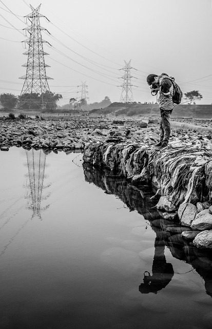 photography, nature, landscape, urban, wildlife, scenic