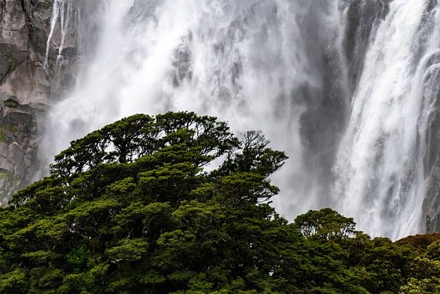 photography, nature, landscape, urban, wildlife, scenic