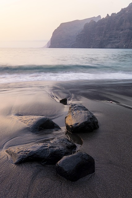 photography, nature, landscape, urban, wildlife, scenic