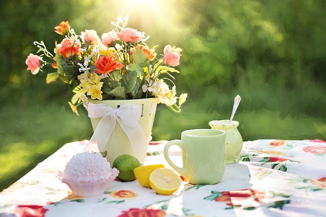 picnic