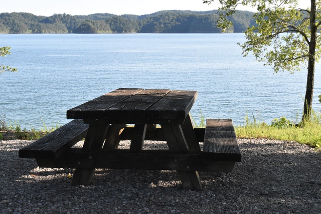 picnic