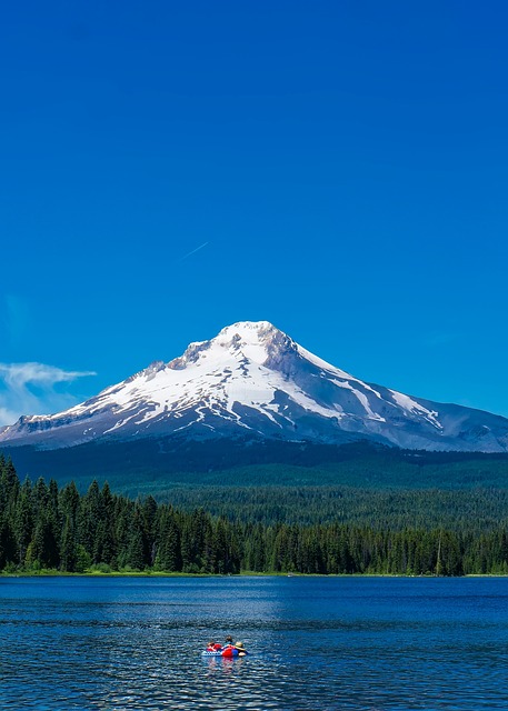 pioneers, homesteads, settlers, cabins, Oregon, history