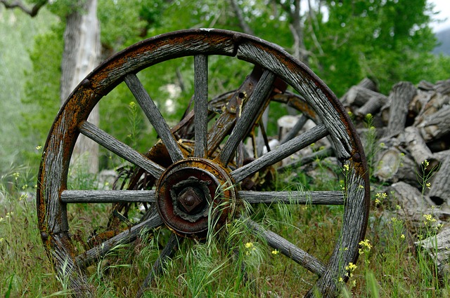 pioneers, homesteads, settlers, cabins, Oregon, history