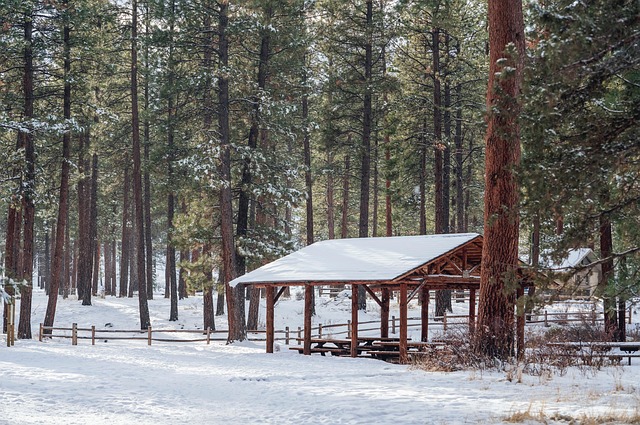 pioneers, homesteads, settlers, cabins, Oregon, history