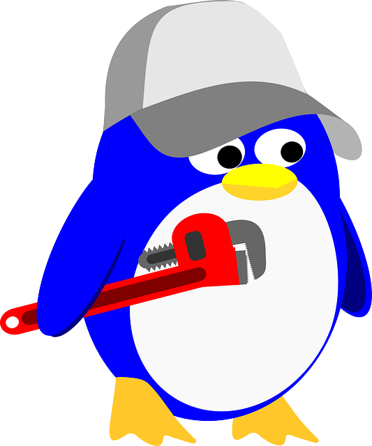 plumber, leak, pressure, odor, clog, water