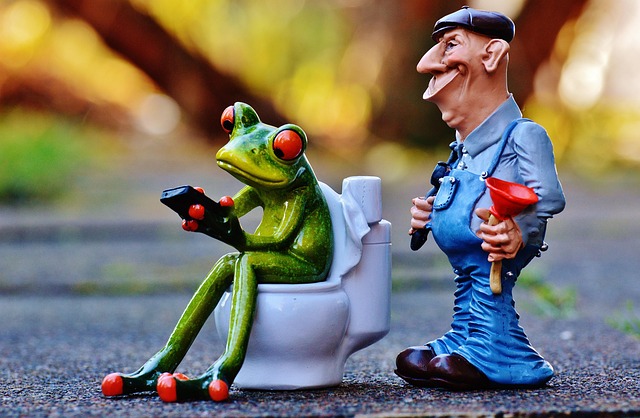 ?plumber, reliable, service, review, license, guarantee