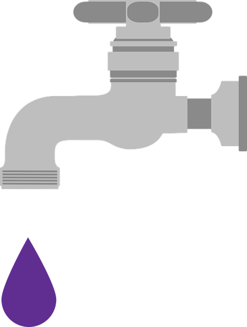 plumbing, leaks, faucets, drains, water heater, pipes