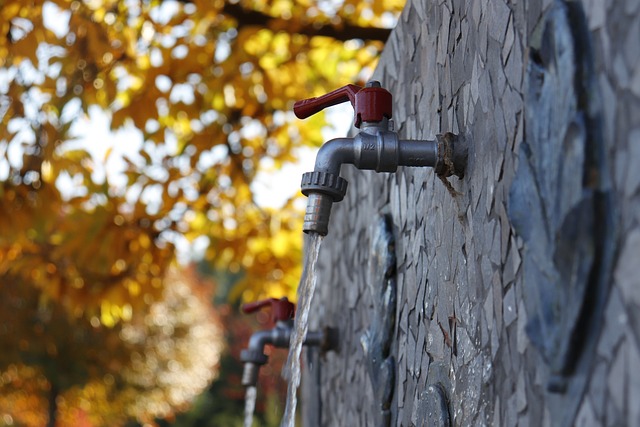 plumbing, leaks, faucets, drains, water heater, pipes