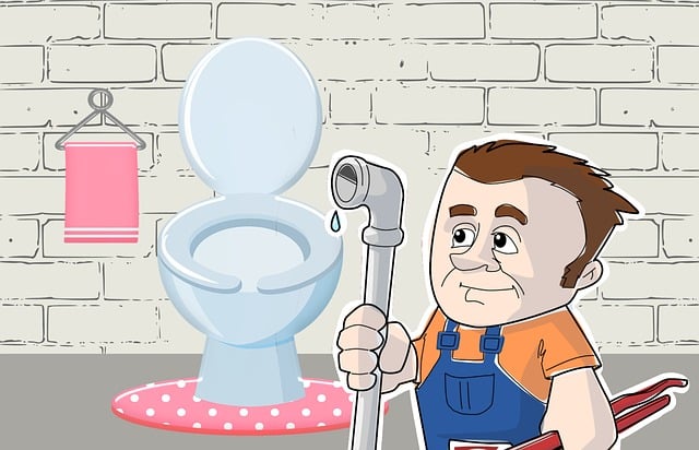 plumbing, leaks, faucets, drains, water heater, pipes