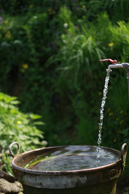 plumbing, leaks, faucets, drains, water heater, pipes