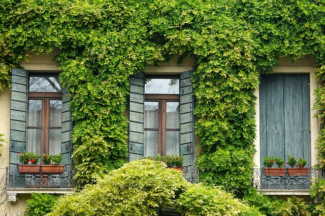prevention, ventilation, humidity, cleaning, home, air