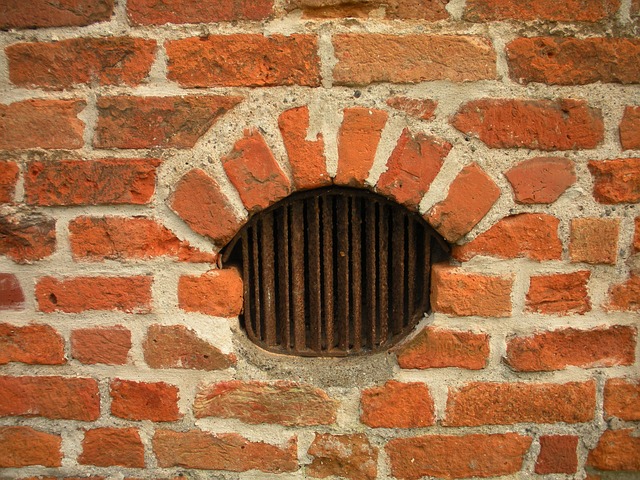 prevention, ventilation, humidity, cleaning, home, air