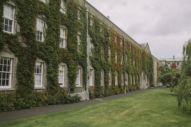 privacy, social life, student, living space, balance, college