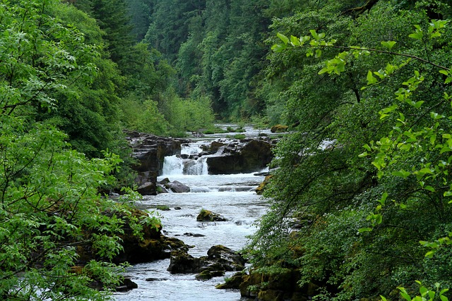 probate, estate, attorney, inheritance, legal, Oregon