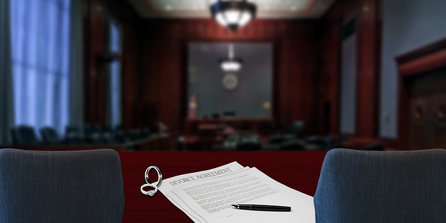 procedures, courtroom, navigation, legal, justice, process
