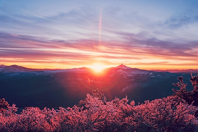 process-oregon-probate-understanding-cou-640x480-17065630.jpeg